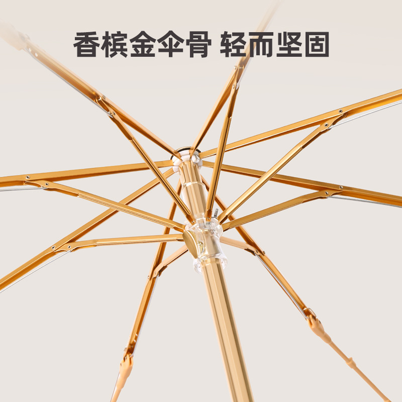 ʽ۵̫ɡɹɡŮinsɫϵ