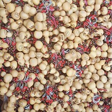 ���J�Nֲ���J�S��ֱ�N���J��Ф耳׿ۺ��J