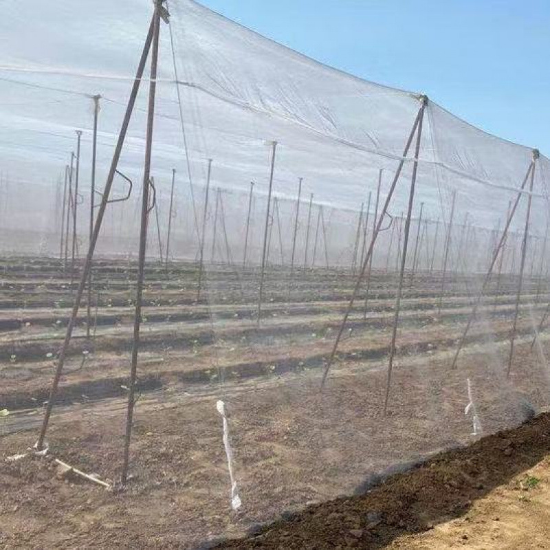 农用果树防虫网蔬菜种植加厚大棚纱网养猪场专用养殖场蚊蝇
