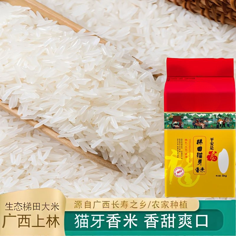 Guangxi Mao Ya Rice Late Rice Long Grain Fragrant Rice New Rice Claypot Rice Ivory Rice Rice Fragrance Grade One Fragrant Rice