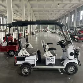 电动三轮车;其他电动车;三轮车