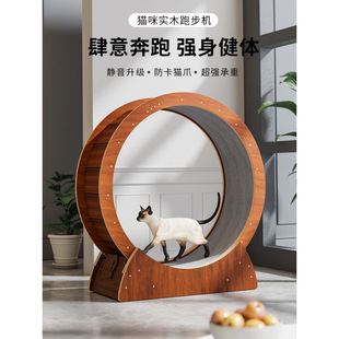Cat Treadmill, Cat Running Wheel, Sports Fitness, Pet Roller, Cat Toy, Cat Climbing Frame, Cat Supplies, Li Zhi