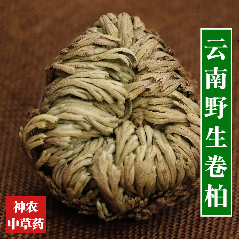 野生云南野生卷柏500g天然无硫九死还魂草还阳草好货真货