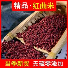 红曲米中药材 中药材批发红曲米 红粬米 量大从优红曲米 支持药检