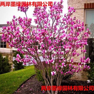 ��Ʒ�N���m�����S�B���m�ճ����m������˾G荋ɼt���m����