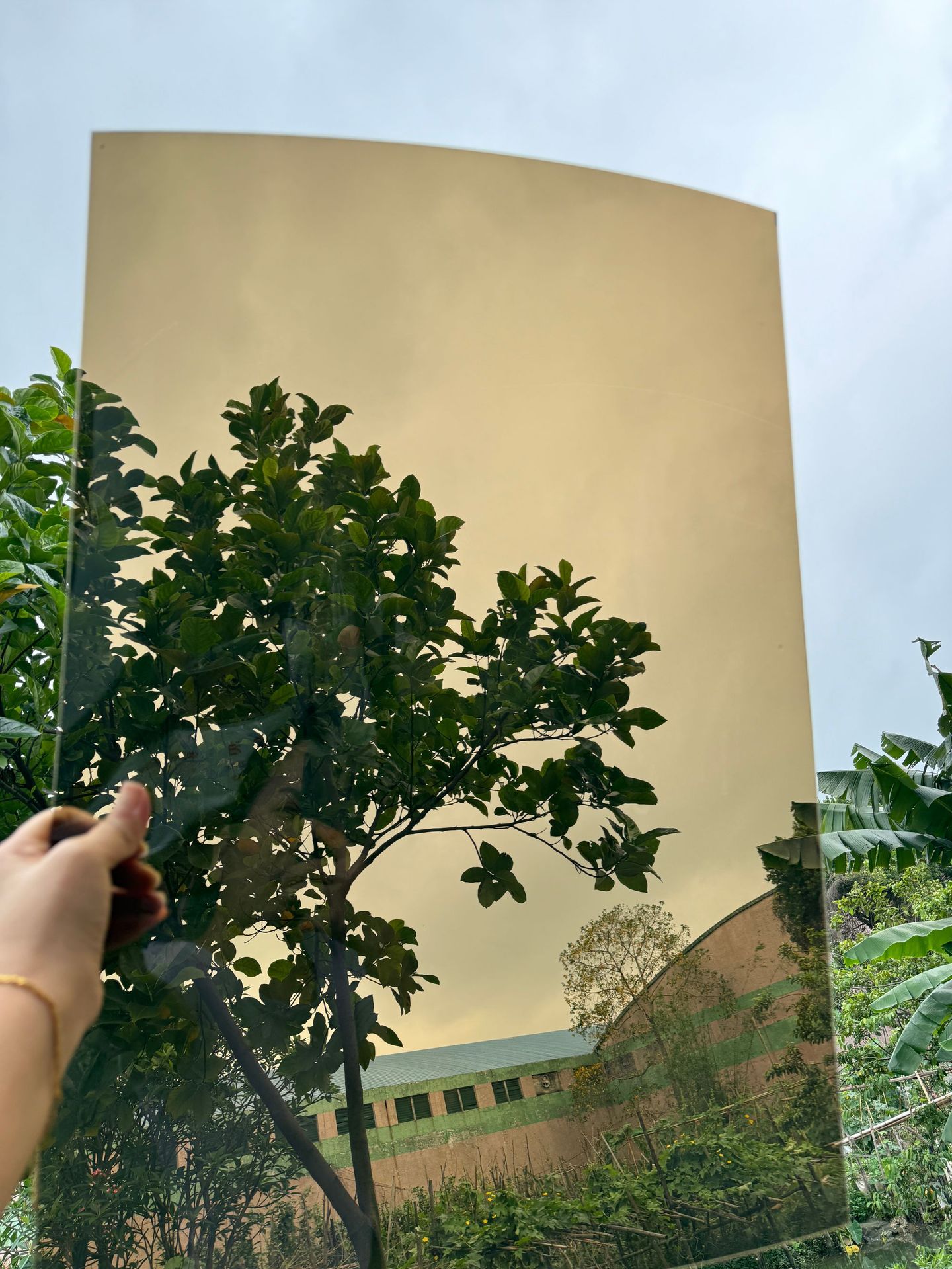 微信图片_20250515162358