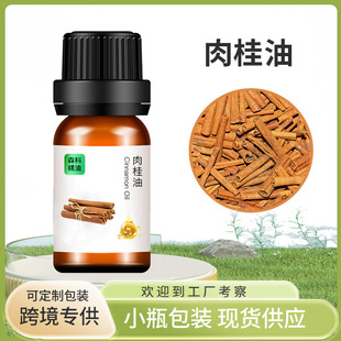 ����Ͱ�Ħֲ�ﾫ�� ���w�o����޹���� ֲ�ﾫ�͏S��