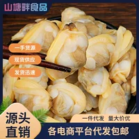 1688鲜活冷冻花蛤采购指南