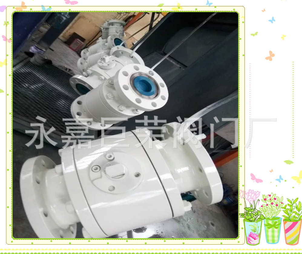 Q41F-100P DN15不锈钢高压球阀浙江南高阀门高压硬密封球阀
