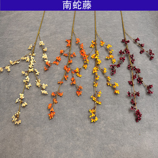 �����¿������� ��ʽ�Sɫ����ӭ�����ɻ��Ҿӻ�c�b��廨�[��