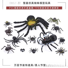 ������֩��ģ��ϐ���������ܛ�z�x����������Λρ