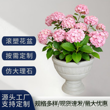 ����Wʽ�͹�Ů�������_����ͥԺ���^�b�������@ˇ�쾰���l