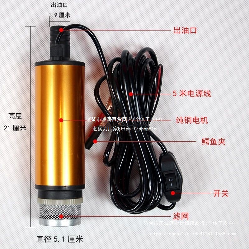 抽油泵柴油12V24V通用220v电动抽水泵抽油加油枪小型抽油机器