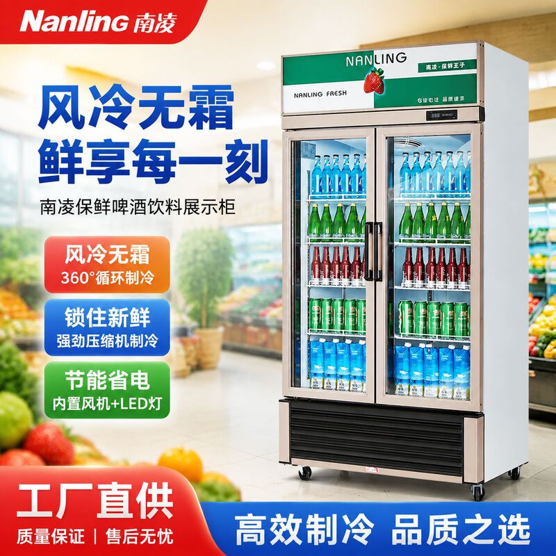 Air-cooled frost-free double-door freezer, Nanling vertical commercial copper tube cabinet, convenience store beverage refrigeration display cabinet Air-cooled frost-free double-door freezer, Nanling vertical commercial copper tube cabinet, convenience store beverage refrigeration display cabinet