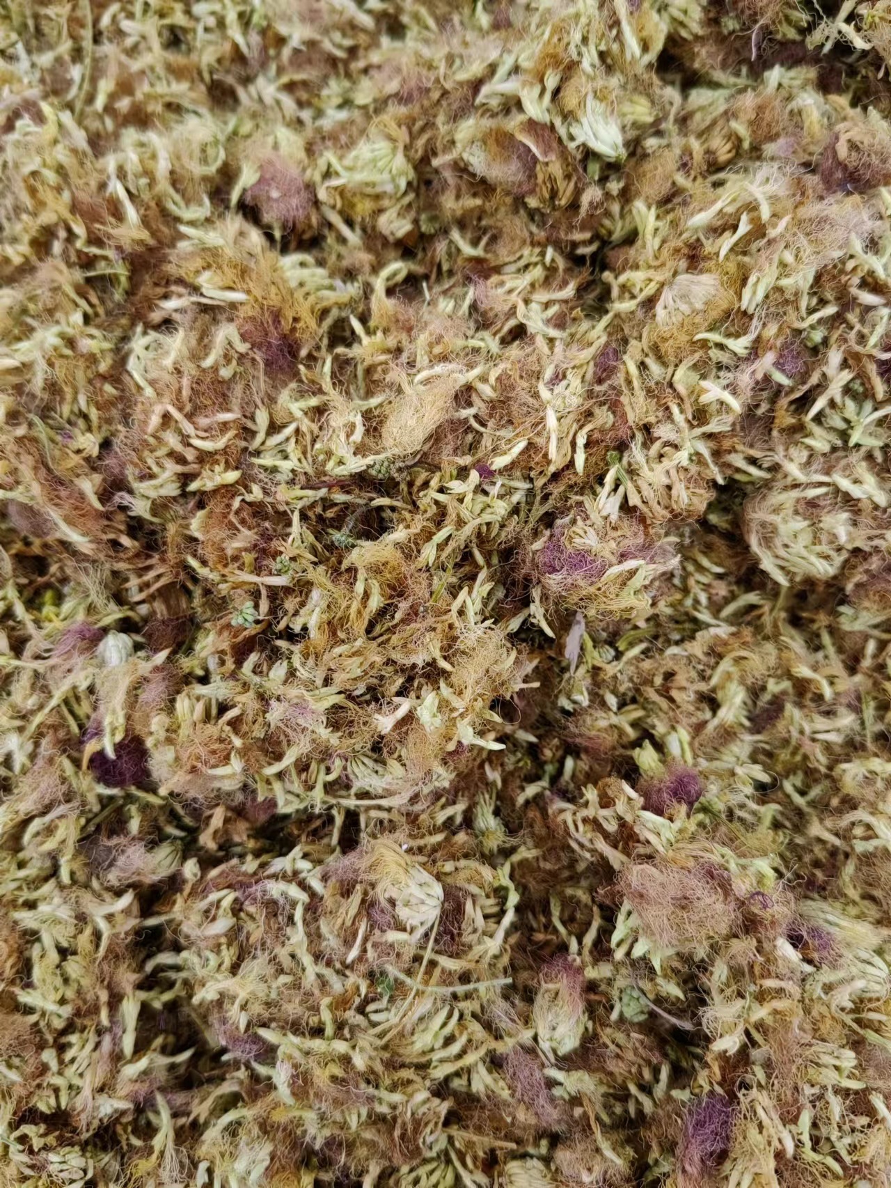 He Huan Hua (Albizia julibrissin) — Dried Silk Tree Flower for Calming Tea & Decoction key features