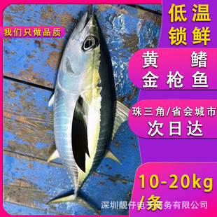 ���r����S�����~���l���l���~�������ω�˾������ʳ�����l