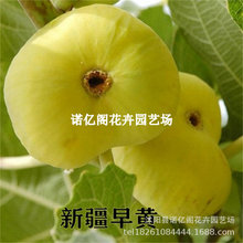 �½����S�o��������������������Ե����ϱ����Nֲ����Y��������