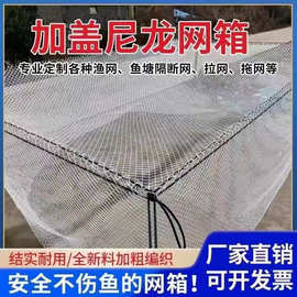 尼龙网箱养殖网箱水产养殖水产隔离网箱养大鱼箱网不伤鱼暂存网箱