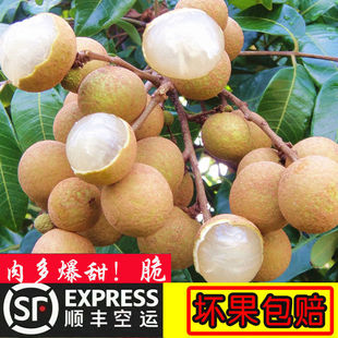 ����S���\���������r�Fժ���A�V�|����ʯ���������۳�������ˮ��