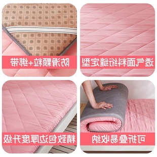 Dormitory Mattress, Student and College Student Single Special Soft Cushion Quilt, Home Tatami Sponge Floor Sleeping Mat