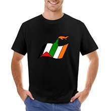 Free Palestine - Free Ireland T-Shirt korean fashion quick d