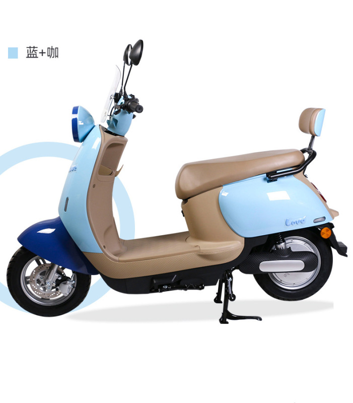 V6電動自転車48V二輪電気自動車バッテリーカーは、Eバイクメーカーの外国貿易直接供給を越境することができます|undefined