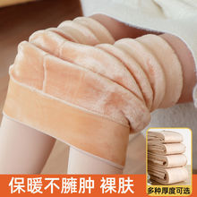 加厚光腿打底裤秋冬季裸感高腰显瘦一体肉色女士打底裤连体裤