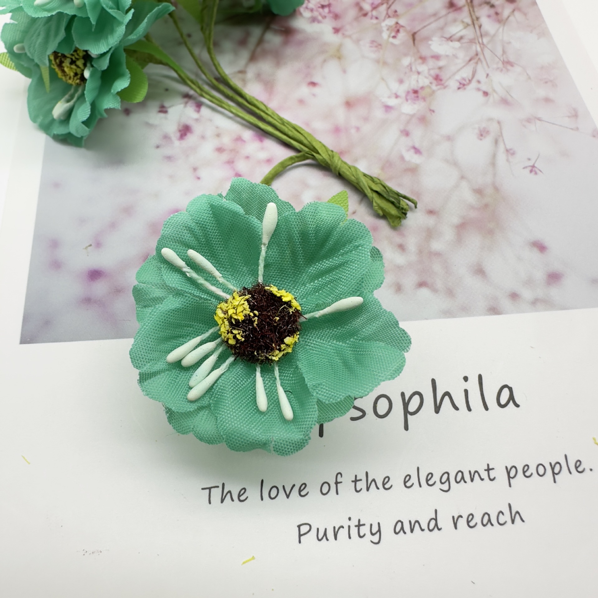 T 블루(팩당 60송이)