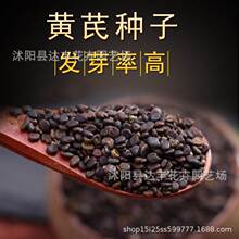 ���l�S�ηN�Ӄ��|Ĥ�v�S�ηN���ɹ��S�ηN�Ӽ��г���ș��ֲ��