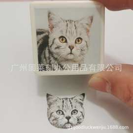 定制宠物头像猫猫狗狗猫头猫咪印章肖像照片图案人像卡通DIY周边