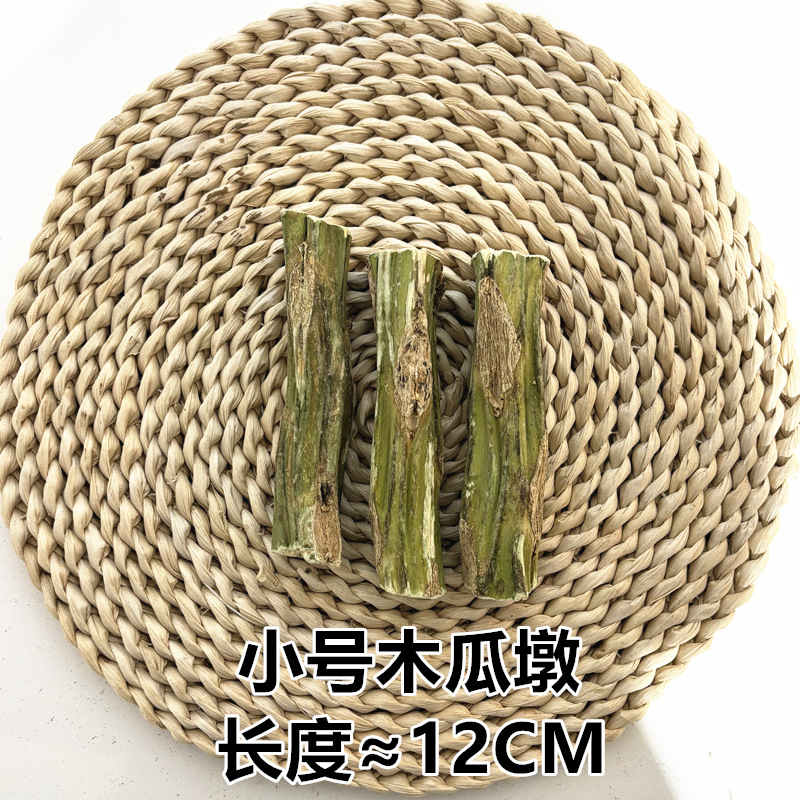 10CM 파파야 던 트럼펫 1개