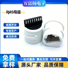 RJ45�B����8P8Cĸ������ʽ�A�ΰ�ɫȫ��ˮ���^�W�ڲ���