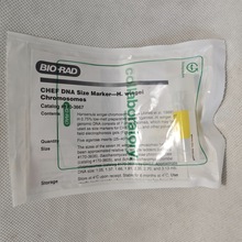 1703667 5����֬�ǉK PFGE ��ӛ1&ndash;3.1 MbH. wingei Ⱦɫ�w DNA