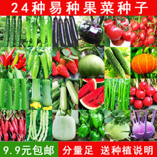 �߲˷N���ļ��Ϲ��S��������t�����������N���̨�}������