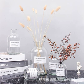 装饰花瓶;玻璃瓶