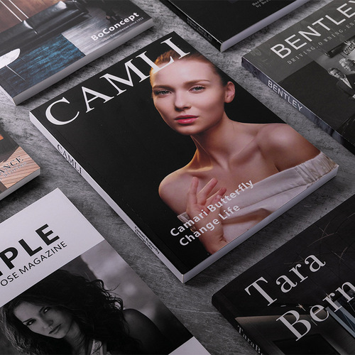 Folk soft furnishing decoration mock-up book, light luxury decor, ornamental piece, European magazine props, studio fake books