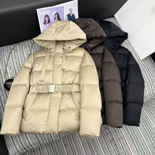 ����Ů�b2025�����Bñ�̿���q��Ů����Z�q�ɾo���������@�ݶ��b