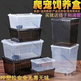 爬虫箱螳螂跳蛛养蚕饲养盒爬行动物睫角寄居蟹饲养箱麦太保麦太保
