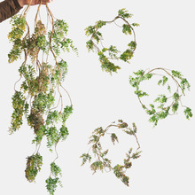 �����ȼ����ٗl�L��160cm�Gֲ�̈��b������ȼ����ٗl����Gֲ