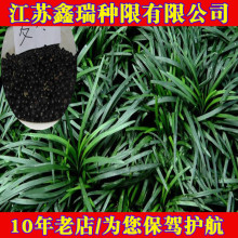 ձ²ݷNӽ߅ ݷNӰݷNӲƺ