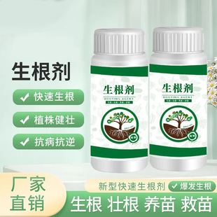生根剂原液移栽扦插快速强力生根肥生根粉根多多植物通用发根剂-阿里巴巴