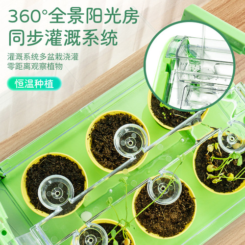 Learn from Yuma Sunroom Planting Children's Vegetable Toys Scientific Experiment Potted Handmade DIY Materials Plant Flower Room