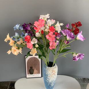 ��ͩ���滨 �Ҿӿ͏d ��c�Ɍ� �Ƶ� �Y�ò��� ��� ·���bF؛