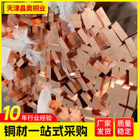 机房接地T2紫铜排   镀锡铜条现货 2*15  2*30  3*30扁铜价格
