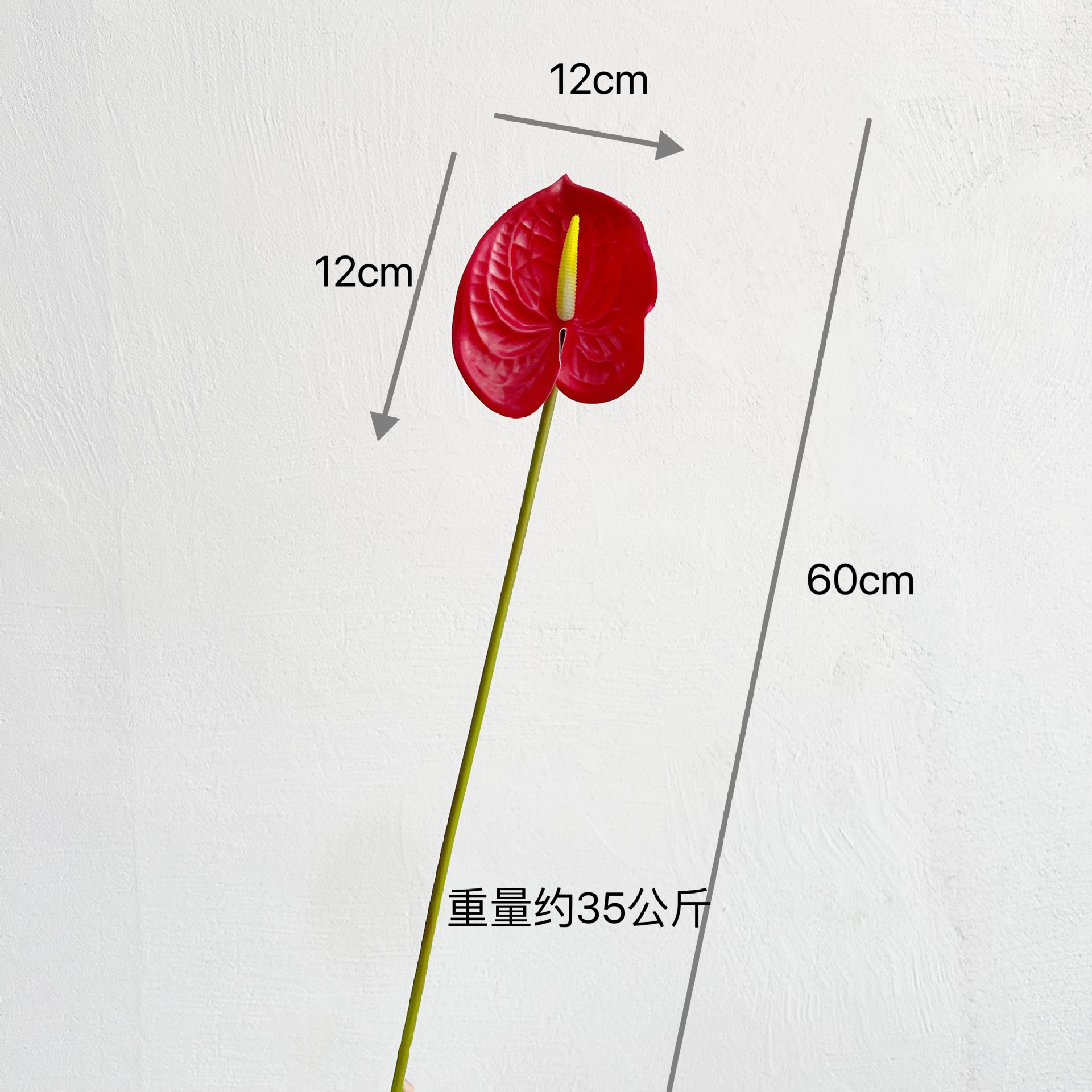3D 안스리움 [빨간색]