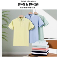 ���w���40֧�p���L�q�޸�֧�������һ�����p�z����䷭�IPOLO��