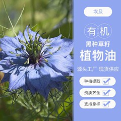 エジプト | 有機黒種草種子油冷圧初搾り基礎油卸売り