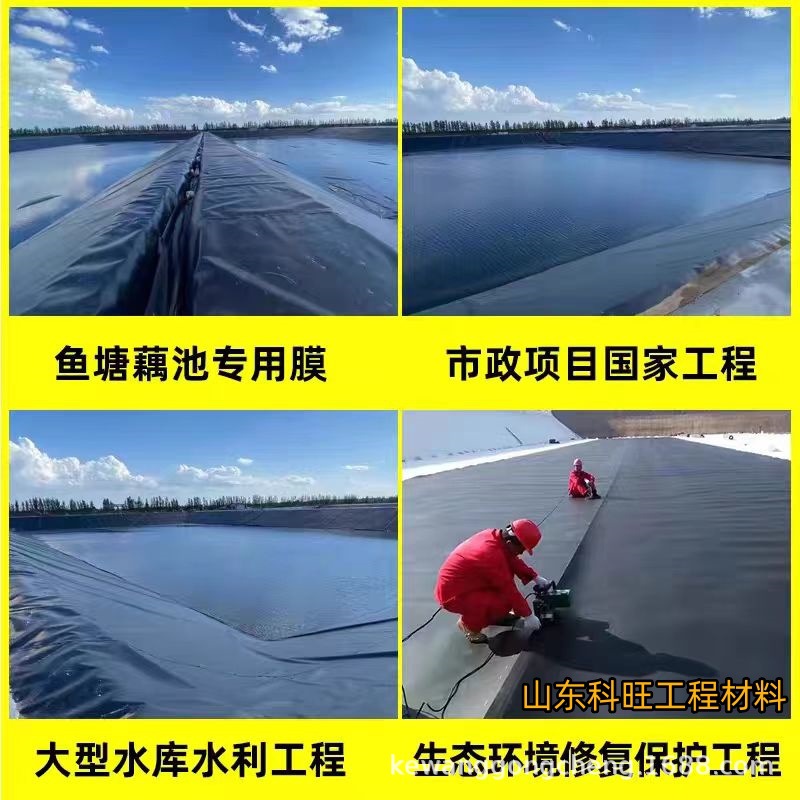 HDPE土工膜防渗膜蓄水池膜化粪池膜防漏水利工程护坡黑膜环保材料