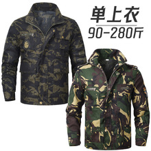 �����Բʷ������д�a�ӷʼӴ����L��A�����¹������ɻ�ڱ���