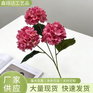 �nʽ��֦3�^�ǹ����� ��c ��Y�÷��滨�b� �����廨�Ƶ����